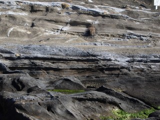 城ヶ島　海岸の地層