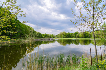 Obraz premium Beautiful fresh amazing view of outdoor park nature background on a spring warm day 