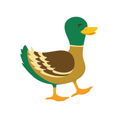 duck farm animal icon vector illustration graphic design