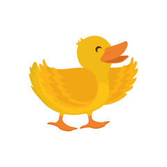 duck farm animal icon vector illustration graphic design