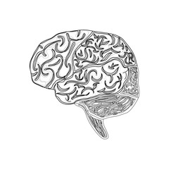 Human brain symbol icon vector illustration graphic design