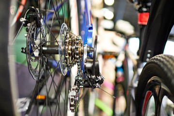 Fototapeta na wymiar Carriage with chain rear wheel sports mountain bike