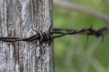 Rusty barbed wire on an old fence post
