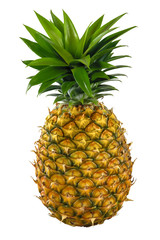Fototapeta premium pineapple isolated on white background