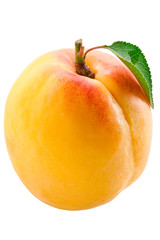 peach isolated on white background
