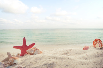 Concept of summertime on tropical beach. Seaside summer beach with starfish, shells, coral on sandbar and blur sea background. vintage color tone.