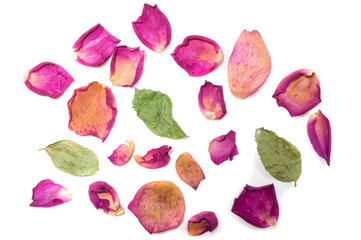 Flowers composition of dried rose flowers. Valentine's day. Dried rose petals close-up background
