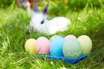Easter bunny with eggs on a meadow in spring