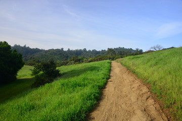 Fremont Older Open Space Preserve