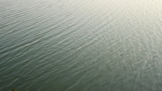 Water surface with ripples and sun rays reflections.