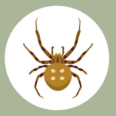 Spider silhouette arachnid fear graphic flat scary animal poisonous design nature phobia insect danger horror tarantula halloween vector icon.