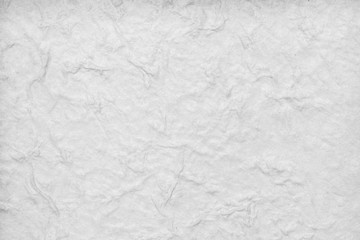 Obraz na płótnie Canvas Mulberry black and white color paper background
