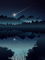 comet over deep forest and river when night © moga52