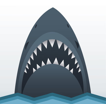 Shark vector illustration 