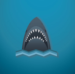 Shark icon vector illustration