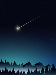 deep pine forest landscape when midnight © moga52