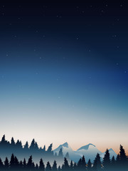 Naklejka premium deep pine forest landscape when noon