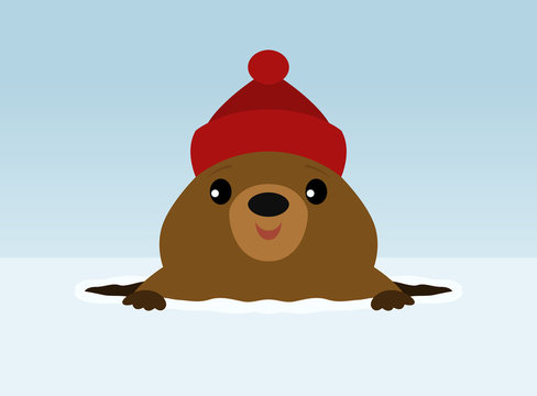 Groundhog Wearing A Winter Hat