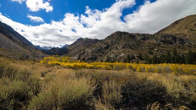 Timelapse of Fall Foliage along Creek in Eastern Sierra -Tilt Up-