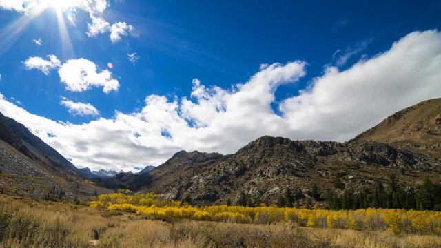 Timelapse of Fall Foliage along Creek in Eastern Sierra -Tilt Down-