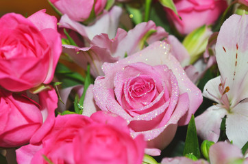 バラ_赤とピンク