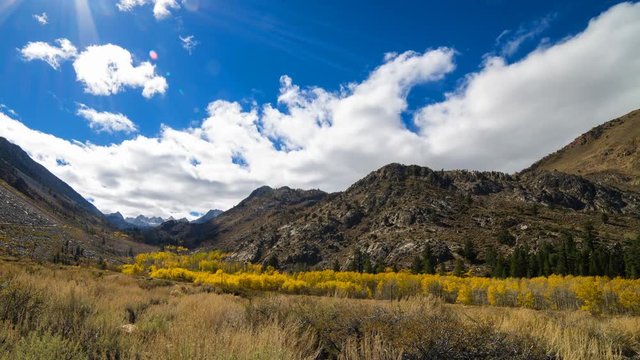 Timelapse of Fall Foliage along Creek in Eastern Sierra -Pan Left-