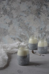 chia pudding. healthy breakfast. copy space