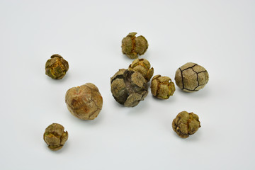 Cones on a white background