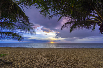 Obraz na płótnie Canvas tropical beach with coconut palm tree