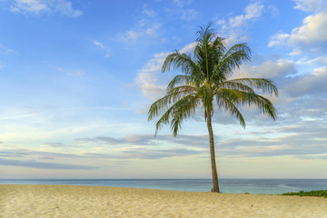 Obraz na płótnie Canvas tropical beach with coconut palm tree
