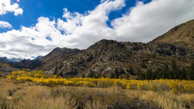 Timelapse of Fall Foliage along Creek in Eastern Sierra -Long Crop-