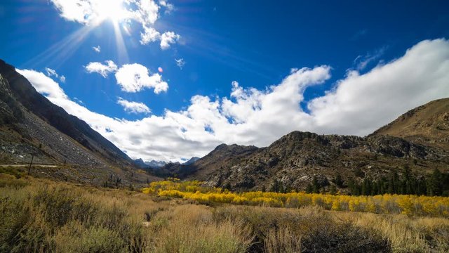 Timelapse of Fall Foliage along Creek in Eastern Sierra 