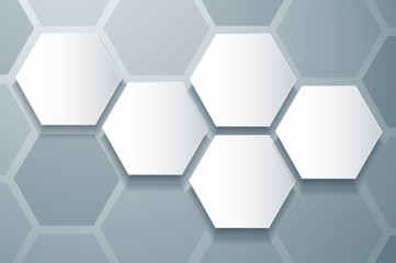 abstract gray bee hive hexagon and space background