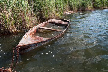 Old flooded boat in the reeds.