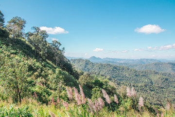 Obraz premium Beautiful nature and landscape of Pai, Mae-Hong-Sorn, Thailand 