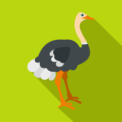 Ostrich icon, flat style