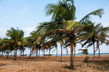 Fototapeta na wymiar Plage et Mer à Avlo Plage au Benin