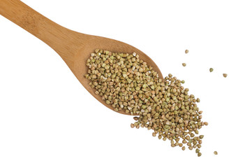 Dry Green Buckwheat Grain in Wooden Spoon Isolated