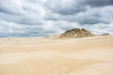 Fototapeta na wymiar a moving dunes