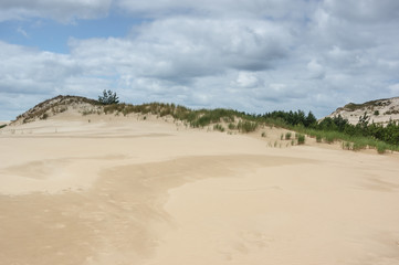 a moving dunes