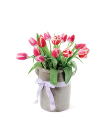 tulips in a vase on a white background