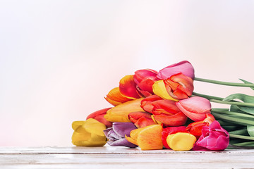 bouquet of tulips in front. Made in with Low grip/depth. (Selektive Grip.)