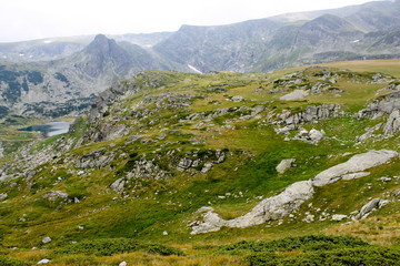 Fototapeta na wymiar Rocks scattered everywhere in otherwise green mountain