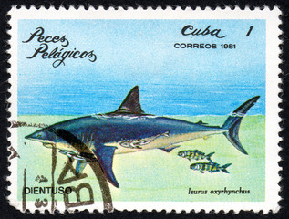 UKRAINE - CIRCA 2017: A stamp printed in Cuba, shows the Pelagic Fish Isurus oxyrhynchus, circa 1981