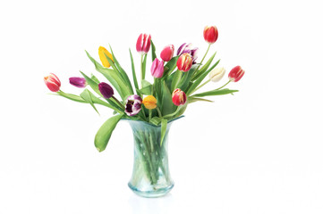 tulips in a vase on a white background