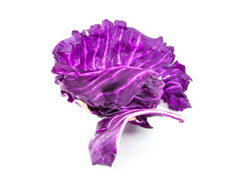 Violet cabbage on white background  