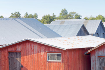 Roofs of corrugated iron on gray and red decayed boathouses