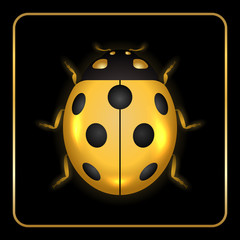Ladybug gold insect small icon. Golden metal lady bug animal sign, isolated on black background. 3d volume bright design. Cute shiny jewelry ladybird. Lady bird closeup beetle. Vector illustration