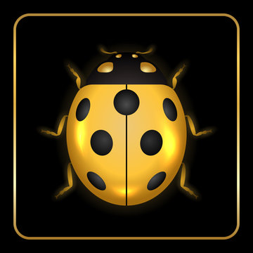 Ladybug gold insect small icon. Golden metal lady bug animal sign, isolated on black background. 3d volume bright design. Cute shiny jewelry ladybird. Lady bird closeup beetle. Vector illustration