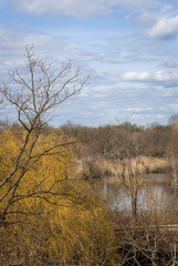 Paysage sauvage d'Alsace